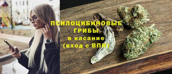 гидра Белая Холуница