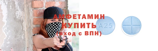 молекула духа Пестово