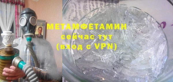гидра Белая Холуница