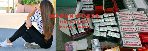 молекула духа Пестово
