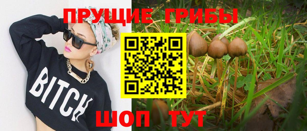 магазин    Псилоцибиновые грибы Psilocybine cubensis  Вход с VPN  Буйнакск 