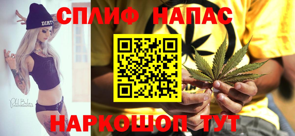 Бошки Шишки планчик Буйнакск